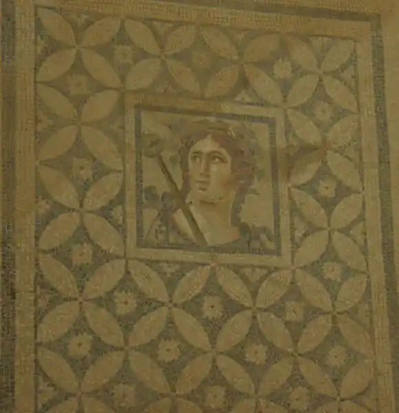 Dionysus God of the Wine Mosaic with Overlapping Crosses and Circles - Ephesus